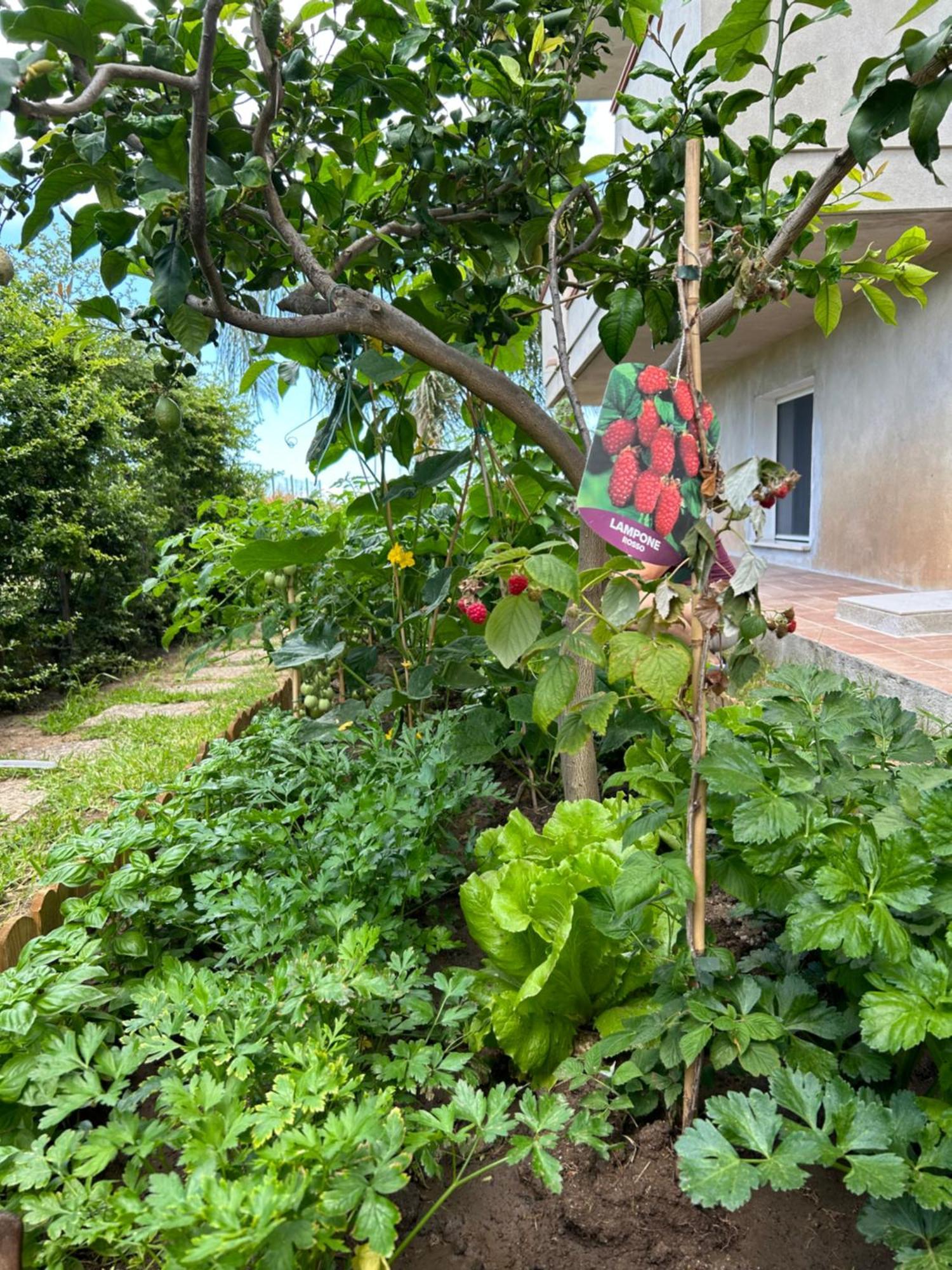 Alto Giardino Apartment แซมโบรเน ภายนอก รูปภาพ