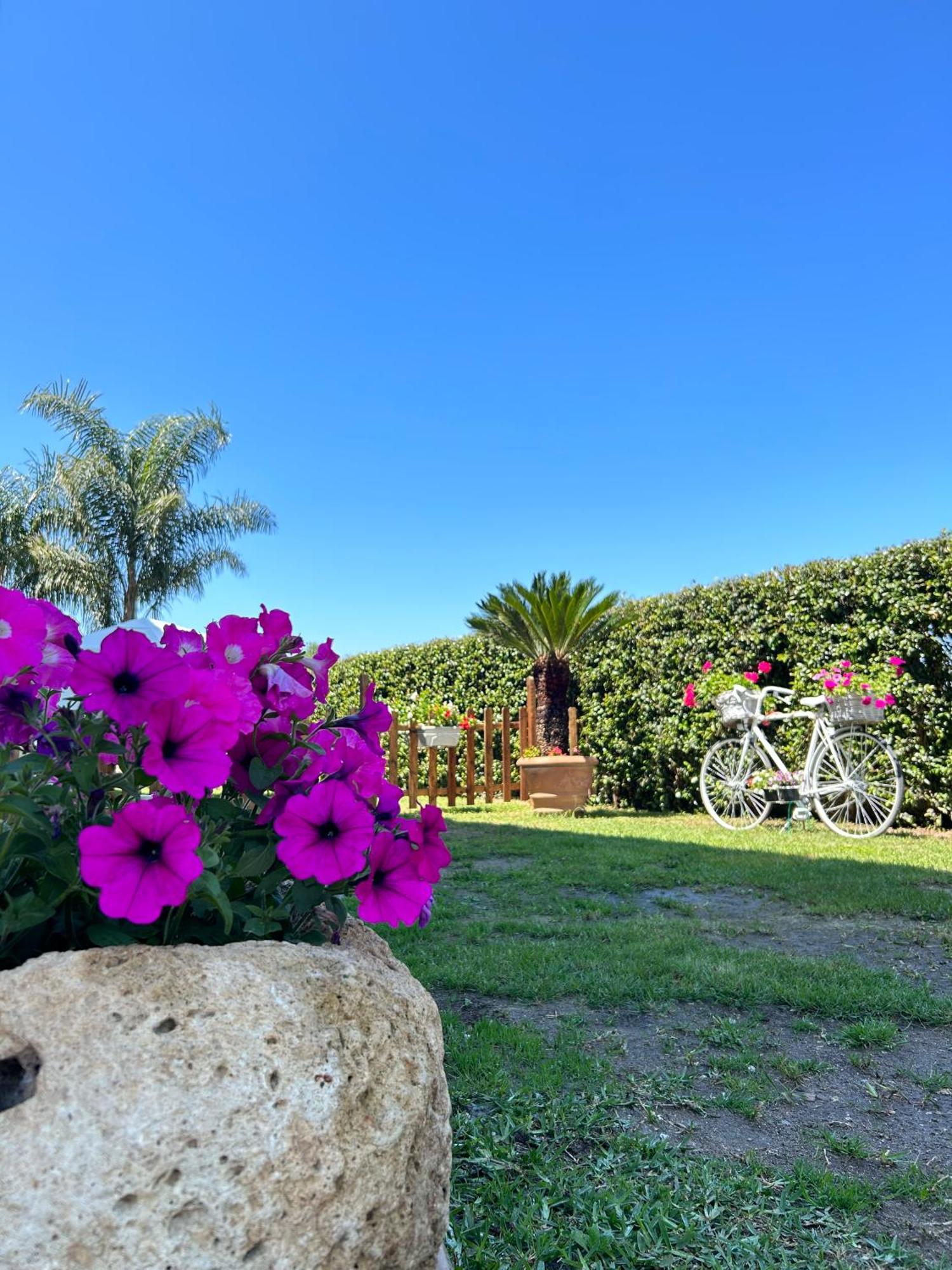 Alto Giardino Apartment แซมโบรเน ภายนอก รูปภาพ