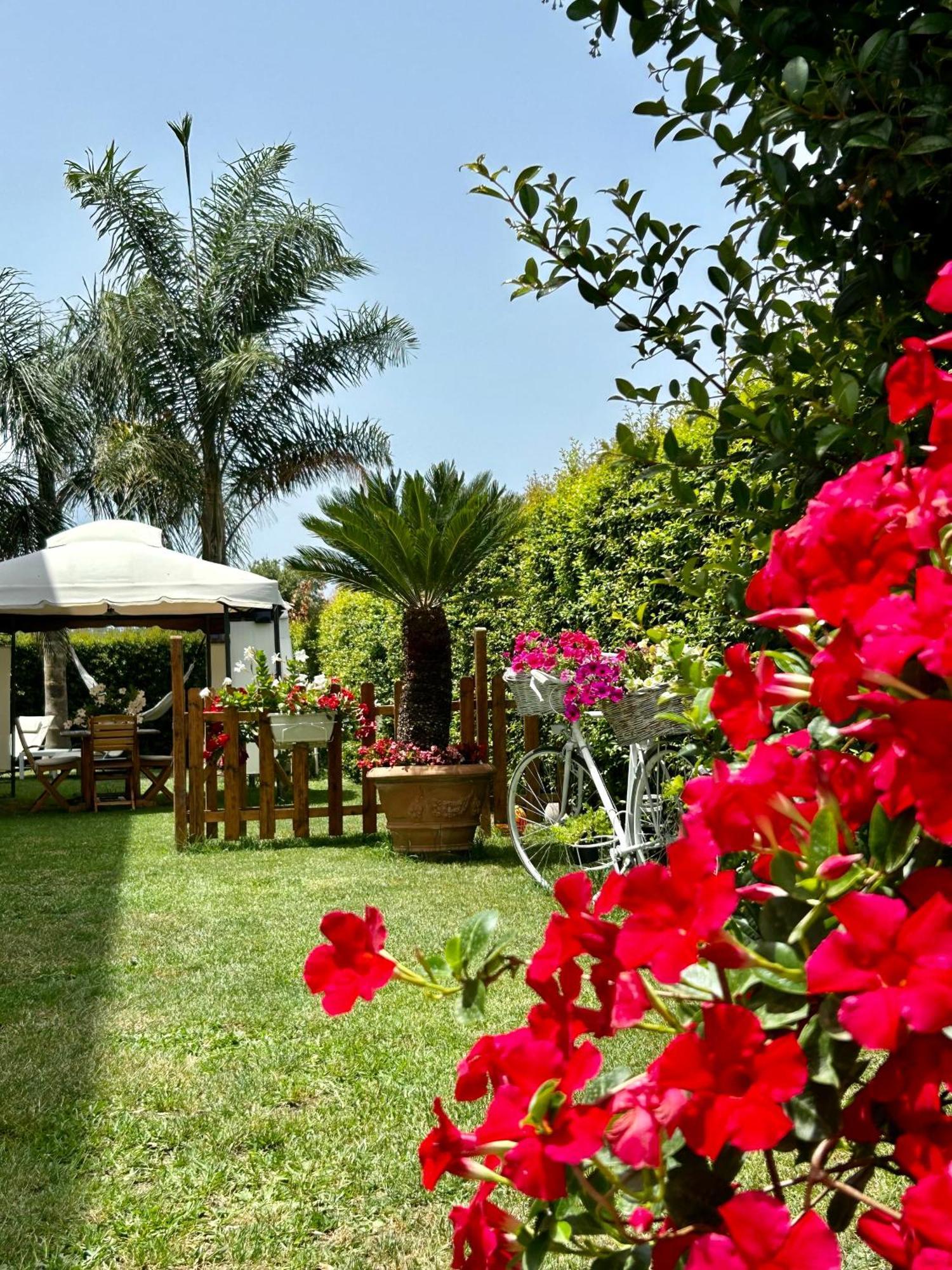 Alto Giardino Apartment แซมโบรเน ภายนอก รูปภาพ