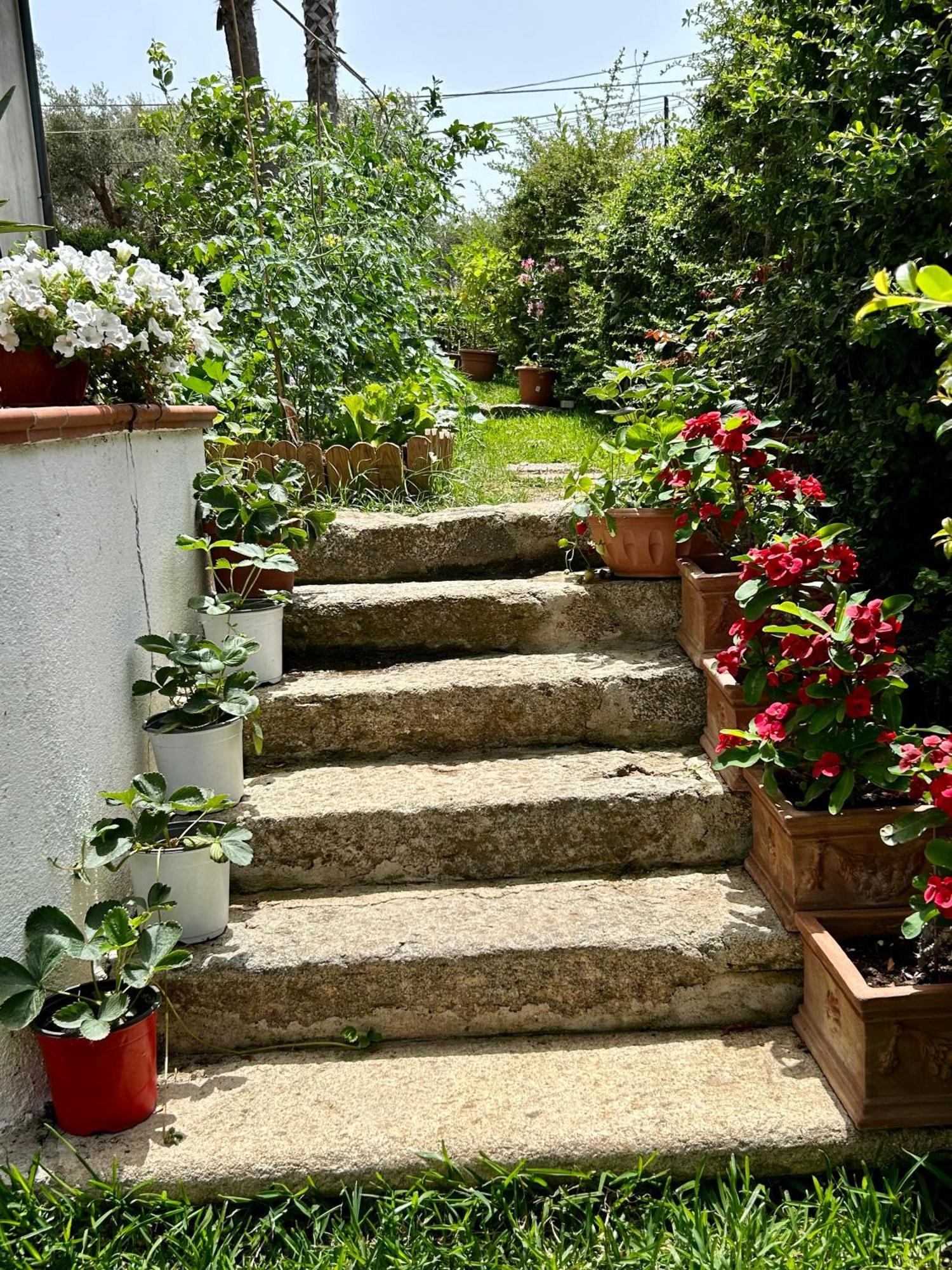 Alto Giardino Apartment แซมโบรเน ภายนอก รูปภาพ